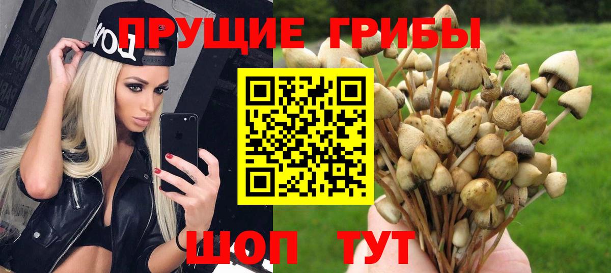 Галлюциногенные грибы мицелий Минусинск