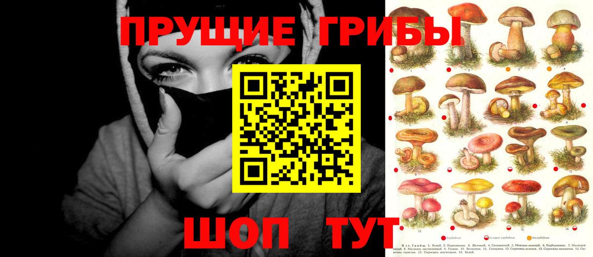 Галлюциногенные грибы Cubensis  Псилоцибиновые грибы мухоморы  как найти закладки  Минусинск  Вход с VPN 